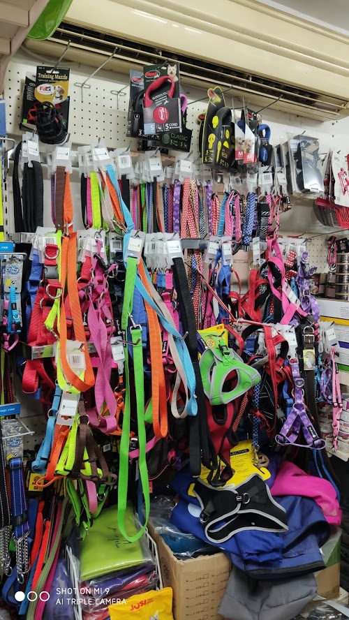רצועות, קולרים, רתמות